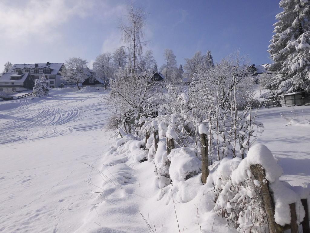 Apartment In Langewiese Sauerland With Garden Winterberg Buitenkant foto